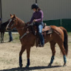 Meet your Posher, Paige